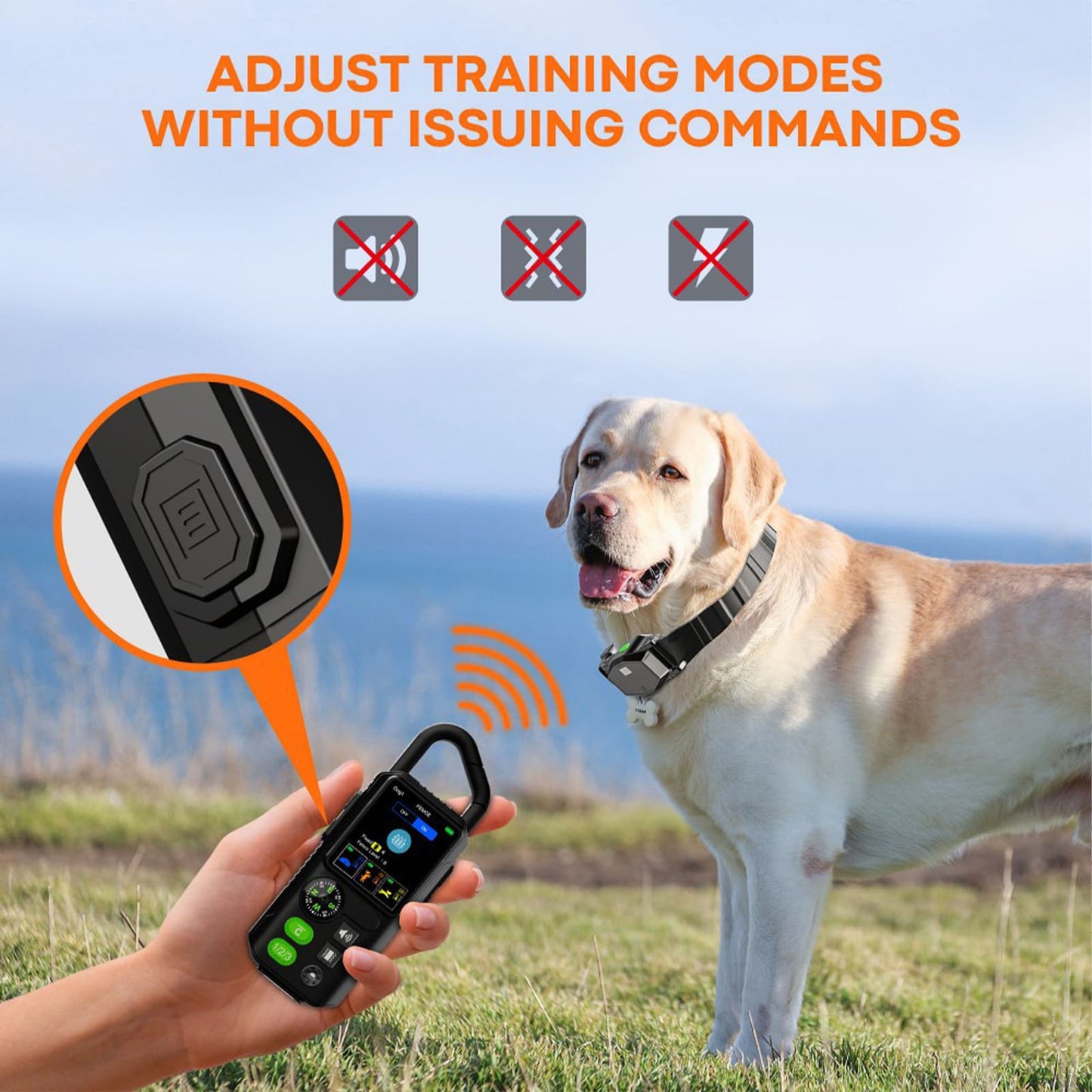 Adjust training modes directly on wireless dog collar remote without commands