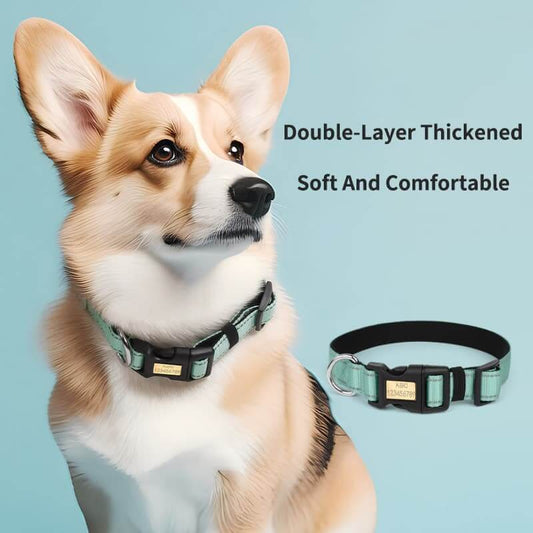Adjustable dog collar with neoprene padding for comfort and durability