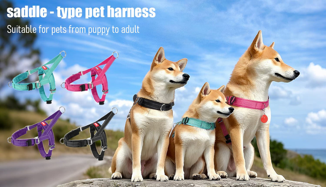 Adjustable dog harness product description with reflective safety and one-size design