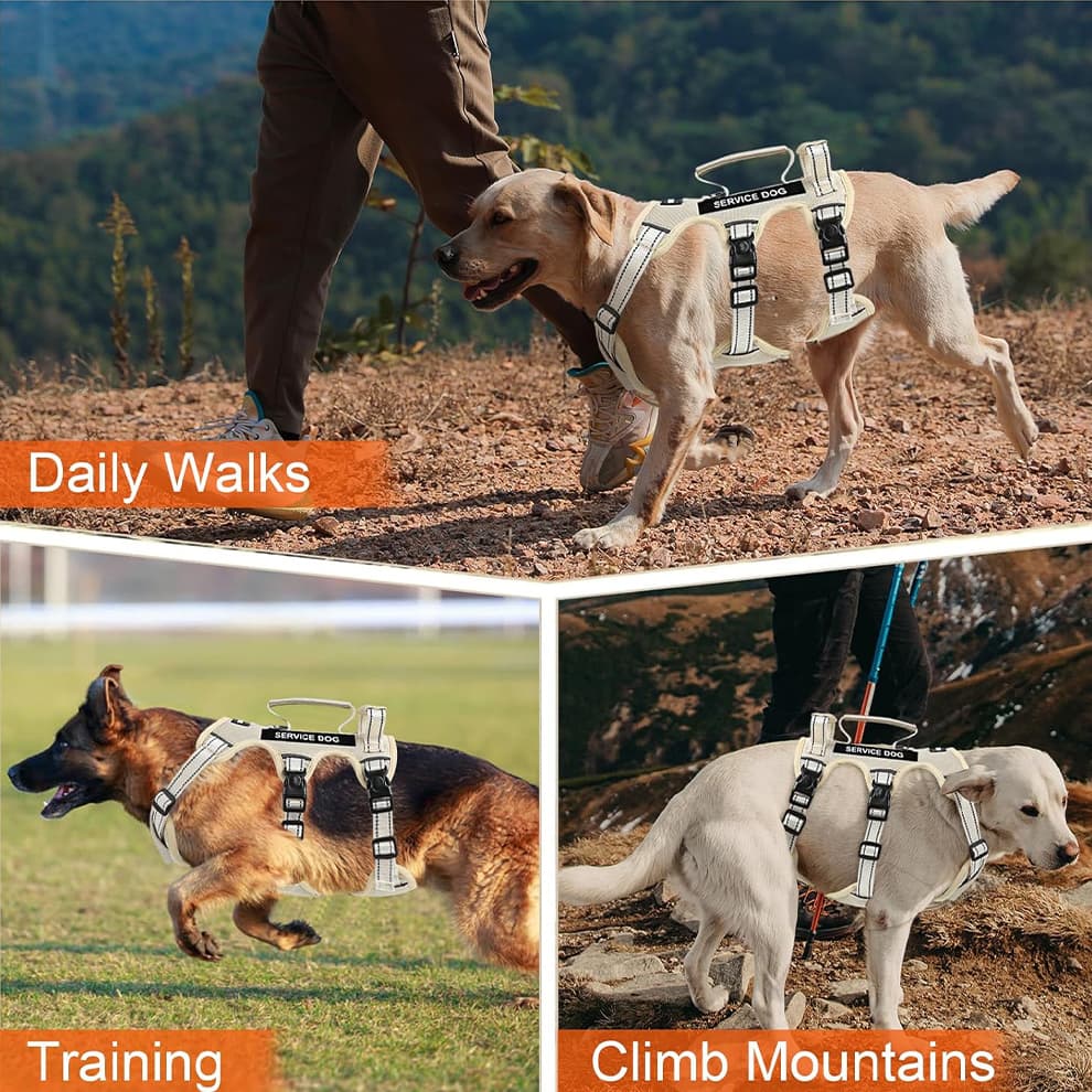Adjustable escape proof dog harness size guide