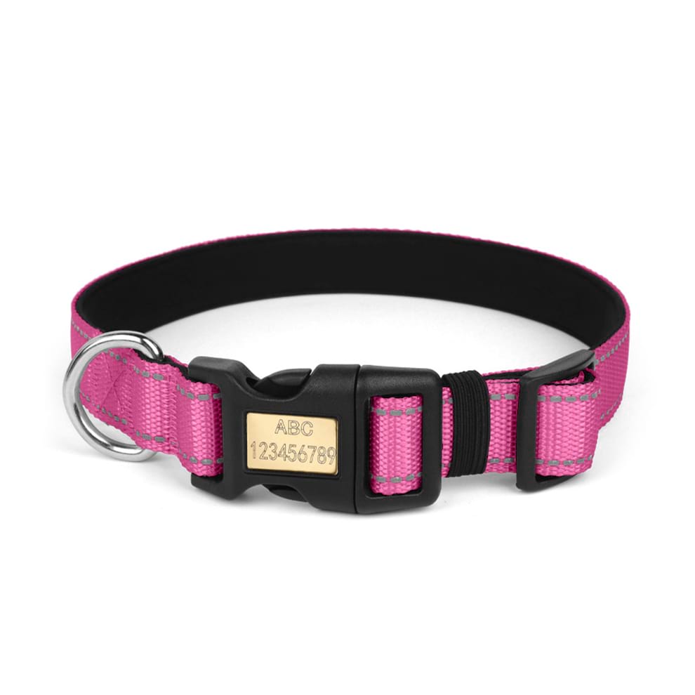 Adjustable nylon dog collar in bright roseo pink, equipped with a smooth-slide buckle for a quick, secure, and custom fit.