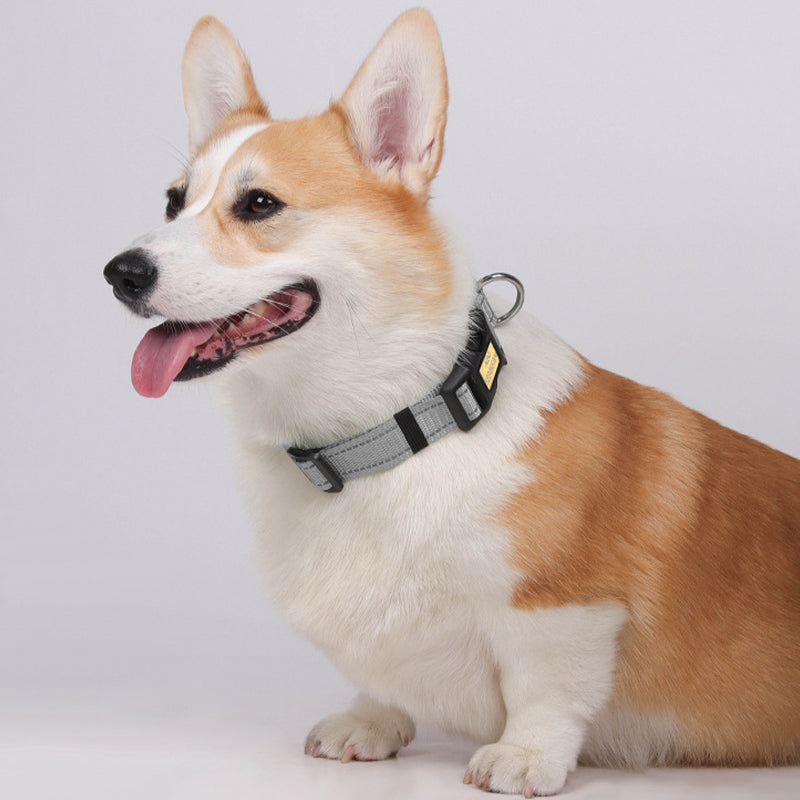 Strong big dog collar nylon with durable metal D-ring