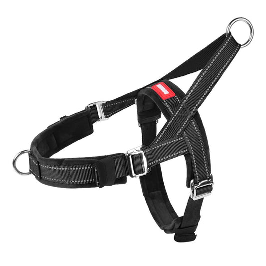 Close view of black adjustable dog harness with quick-release buckle