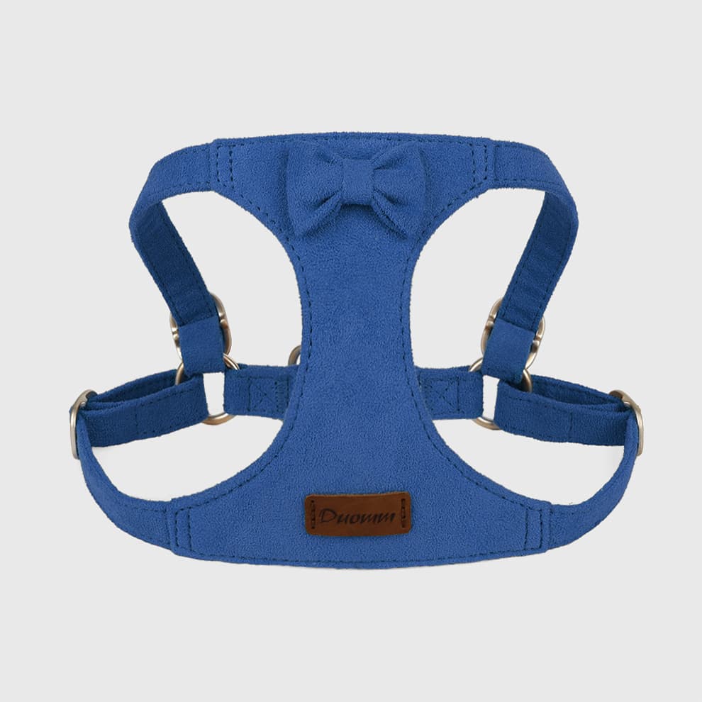 Small dog harness and leash in blue with comfortable fit design