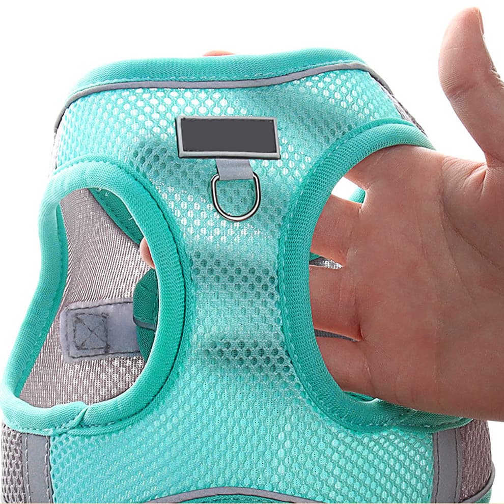 Close-up of breathable mesh small dog harness in green, showing lightweight fabric