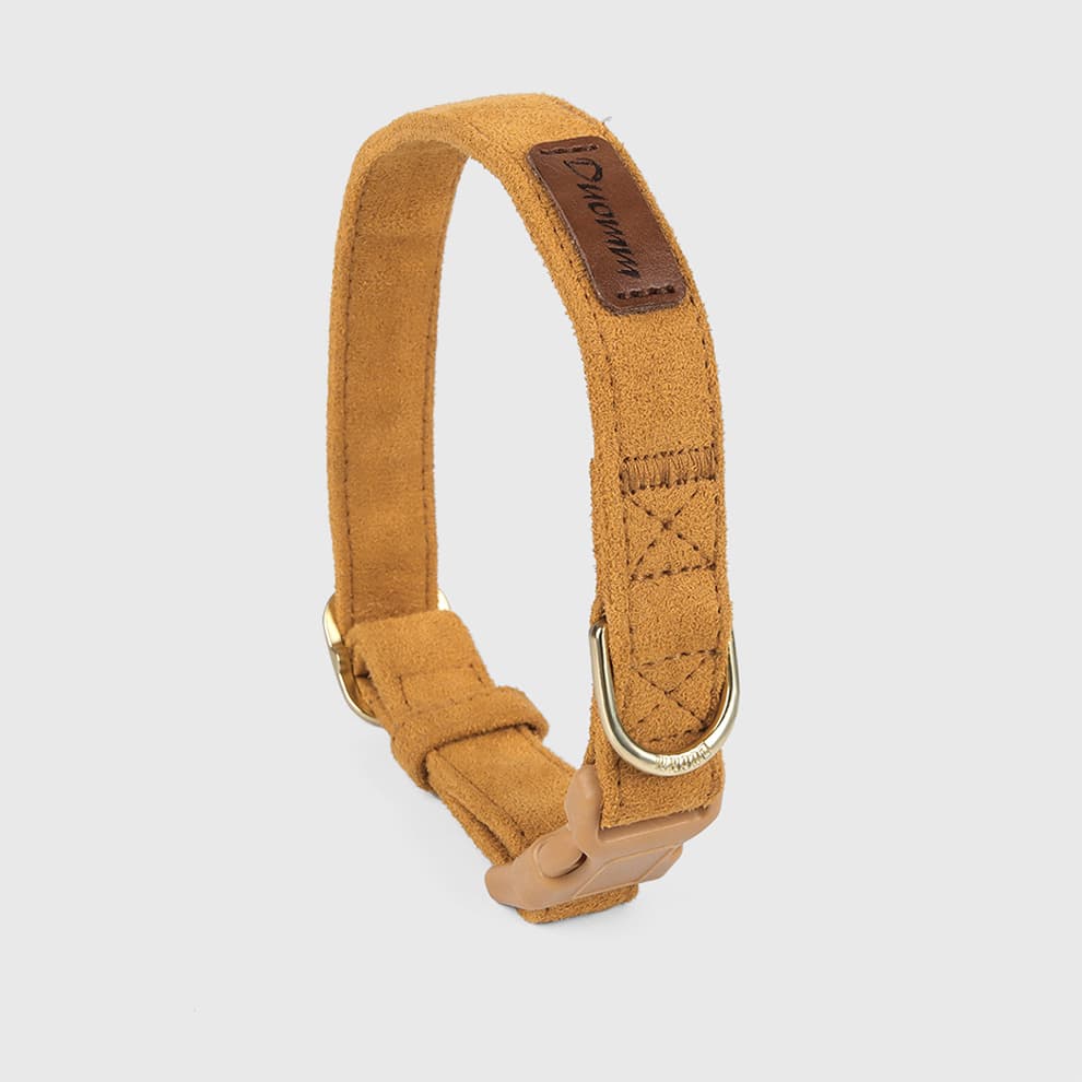Brown dog collar matching small dog harness and leash set
