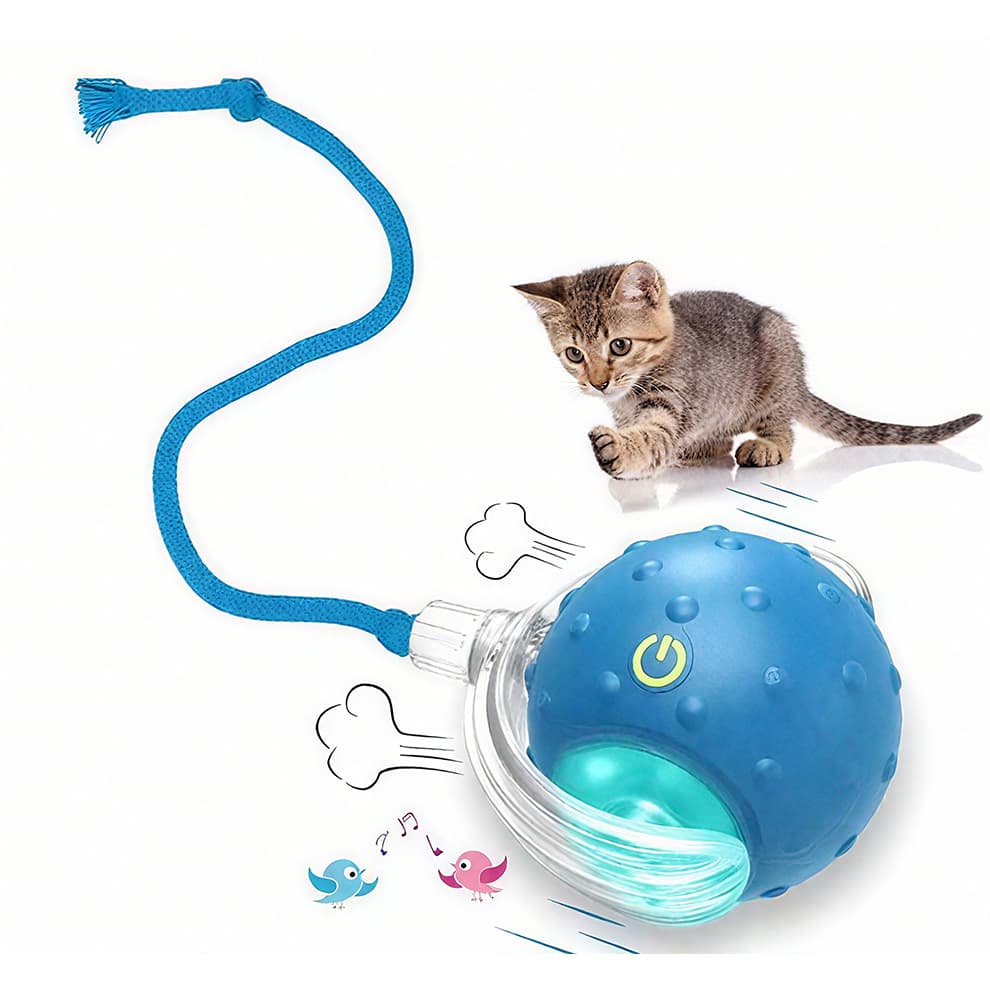 Blue cat balls toy with birdsong sounds and wake-up rolling play for cats