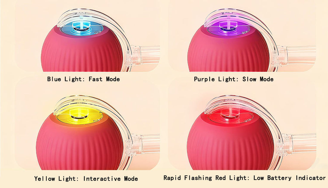 Cat balls toy with light indicators showing fast, slow, interactive, and low battery modes