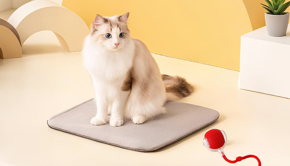 Cat balls toy shown in red with cat sitting nearby, highlighting product description