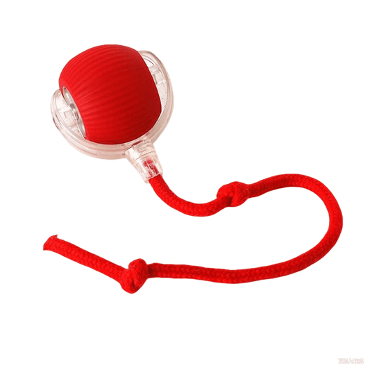 Cat balls toy - Smart interactive rolling cat toy ball for indoor cats