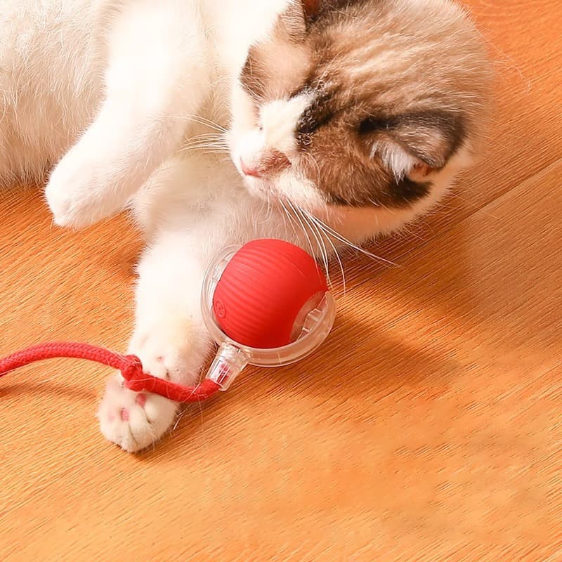 Cat balls toy with built in birdsong sound to attract cats and stimulate hunting instincts
