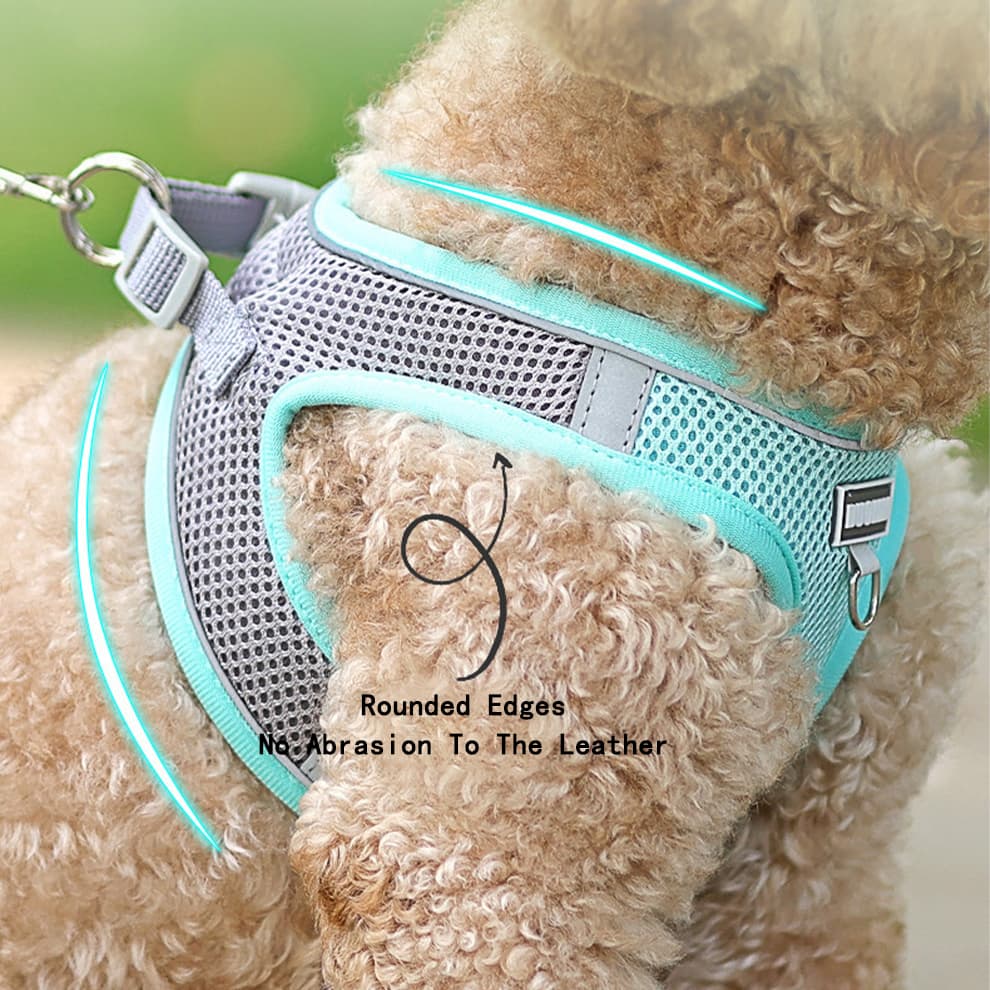 Puppy wearing comfortable small dog harness with rounded edges that prevent abrasion