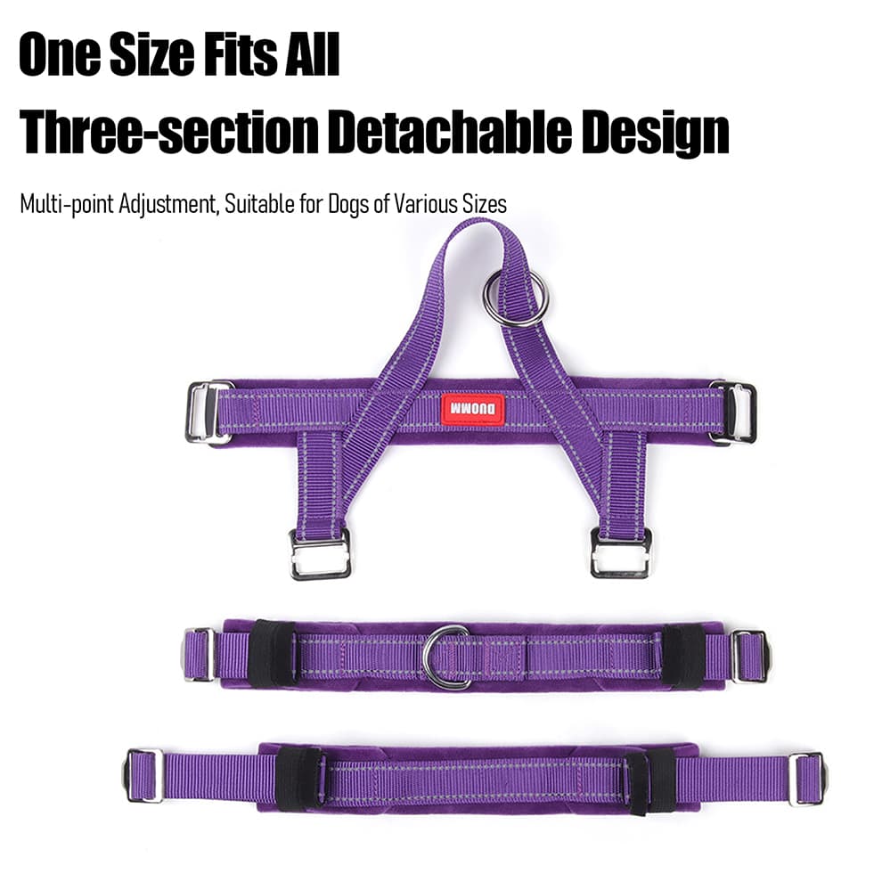 Detachable harness design with adjustable straps for all dog sizes