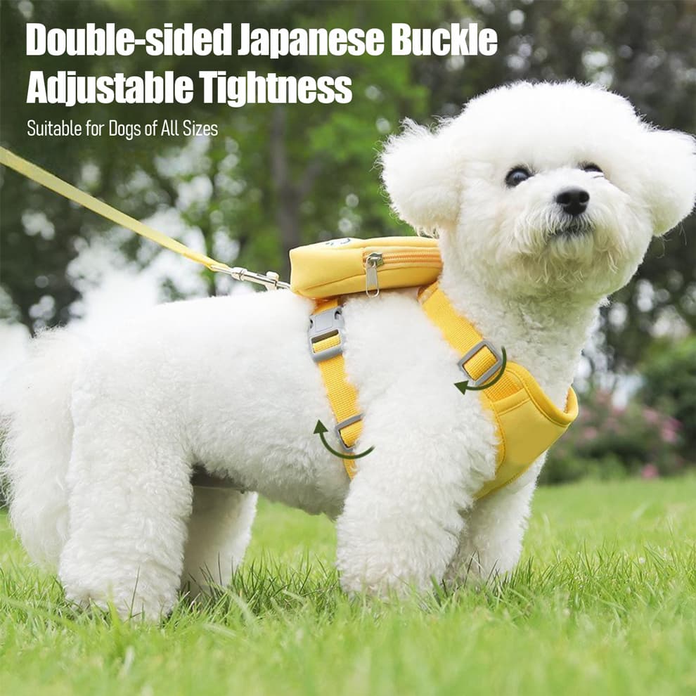 Adjustable dog harness with double buckle design for small dogs