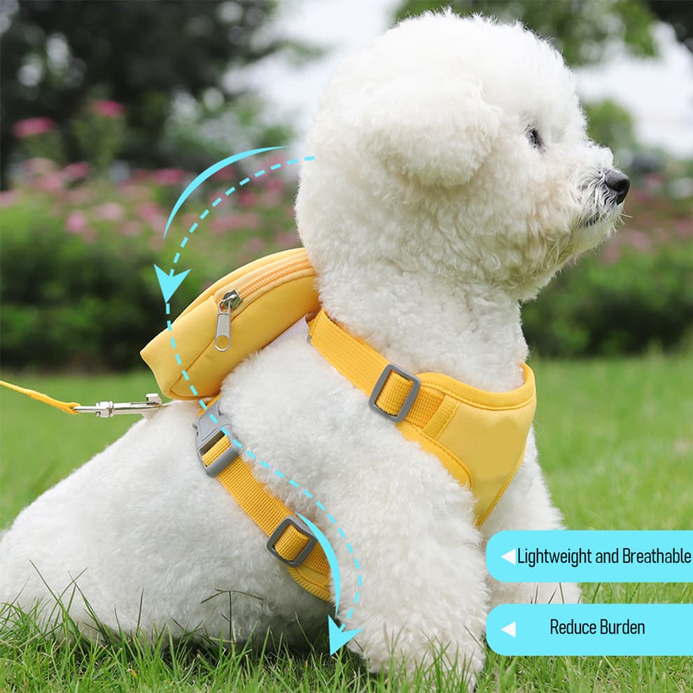 Small dog wearing yellow backpack harness with removable pouch