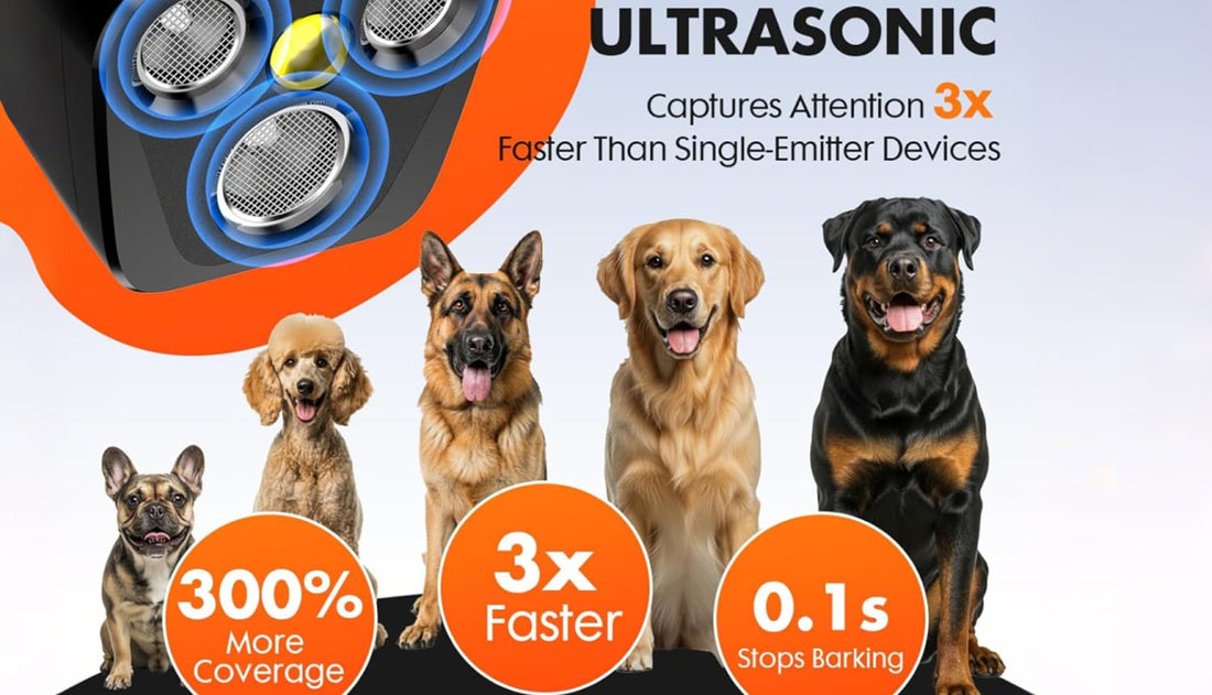 Dog barking deterrent showing compact design and training features