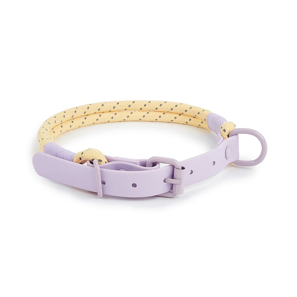Reflective dog collar in purple and yellow, adjustable and durable