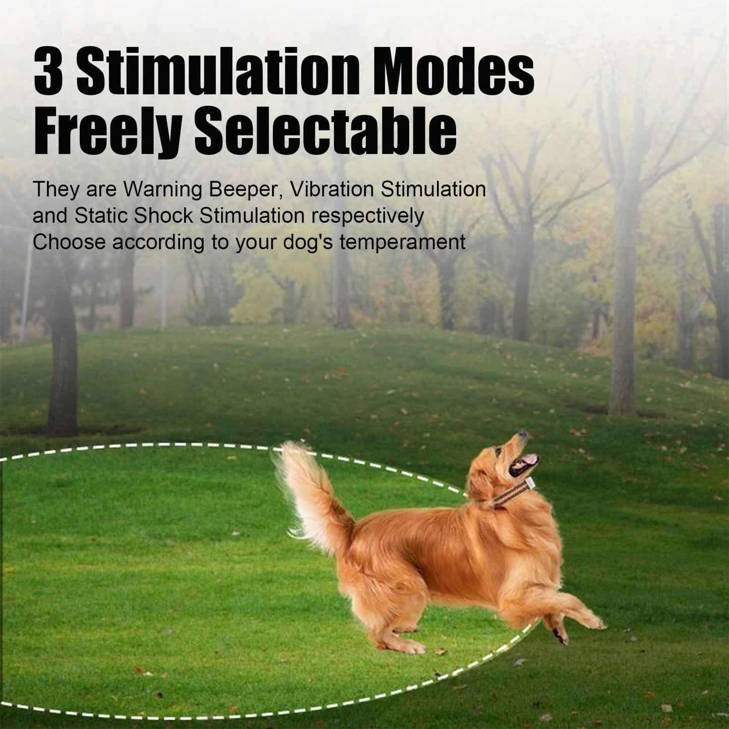 Dog fence collar with training modes including beeper, vibration, and static correction