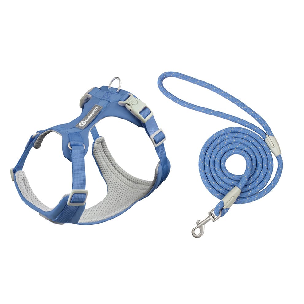 Dog harness and leash set in blue with breathable mesh and matching leash