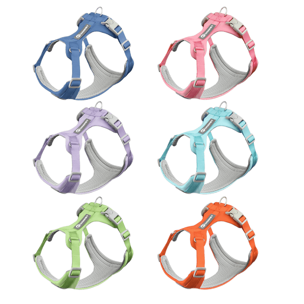 Dog harness and leash set in six colors lightweight adjustable design