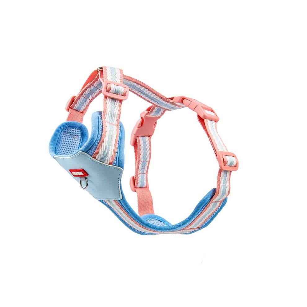 Blue and coral dog harness for small dogs with soft mesh padding