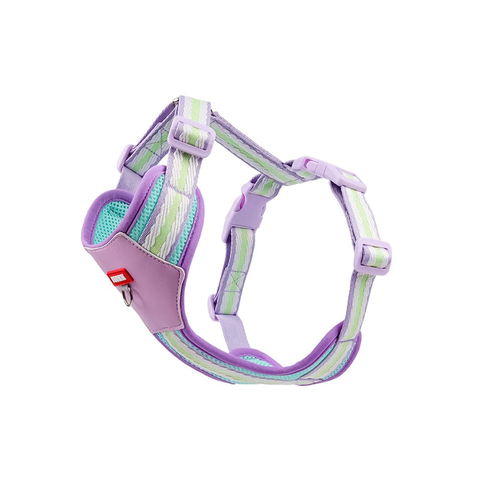 Purple and mint breathable mesh harness for small dogs with sturdy buckles