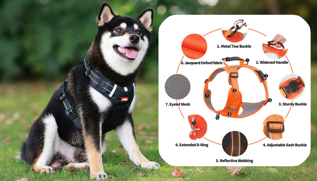 Black dog harness leash set with front and back clips, padded mesh and reflective straps with feature details