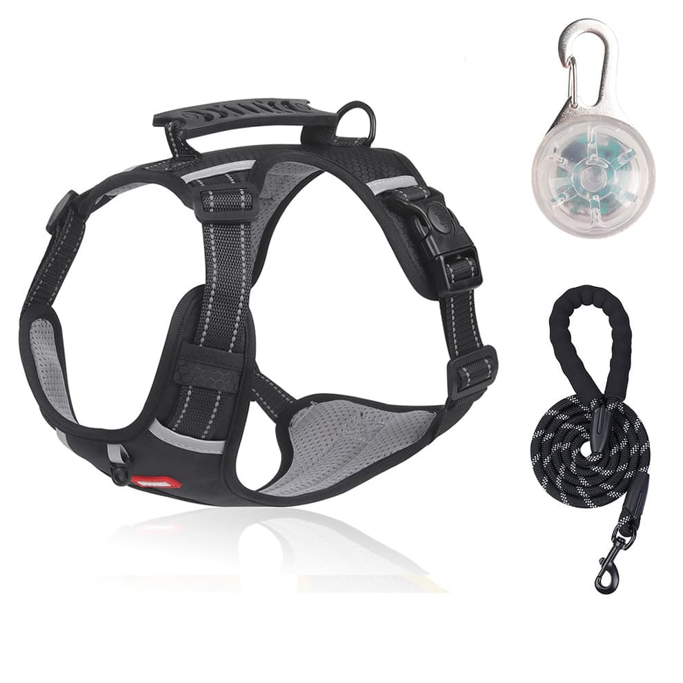 Black dog harness leash set with strong control handle, padded chest support, front and back clips and leash