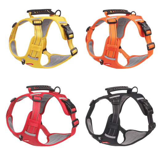 Adjustable dog harness and leash set with reflective straps and LED light in Yellow, Orange, Red, and Black