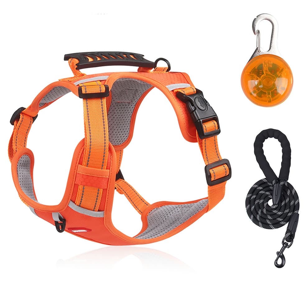 Dog Harness Leash Set in orange with reflective straps, no pull front clip, padded mesh and LED safety light