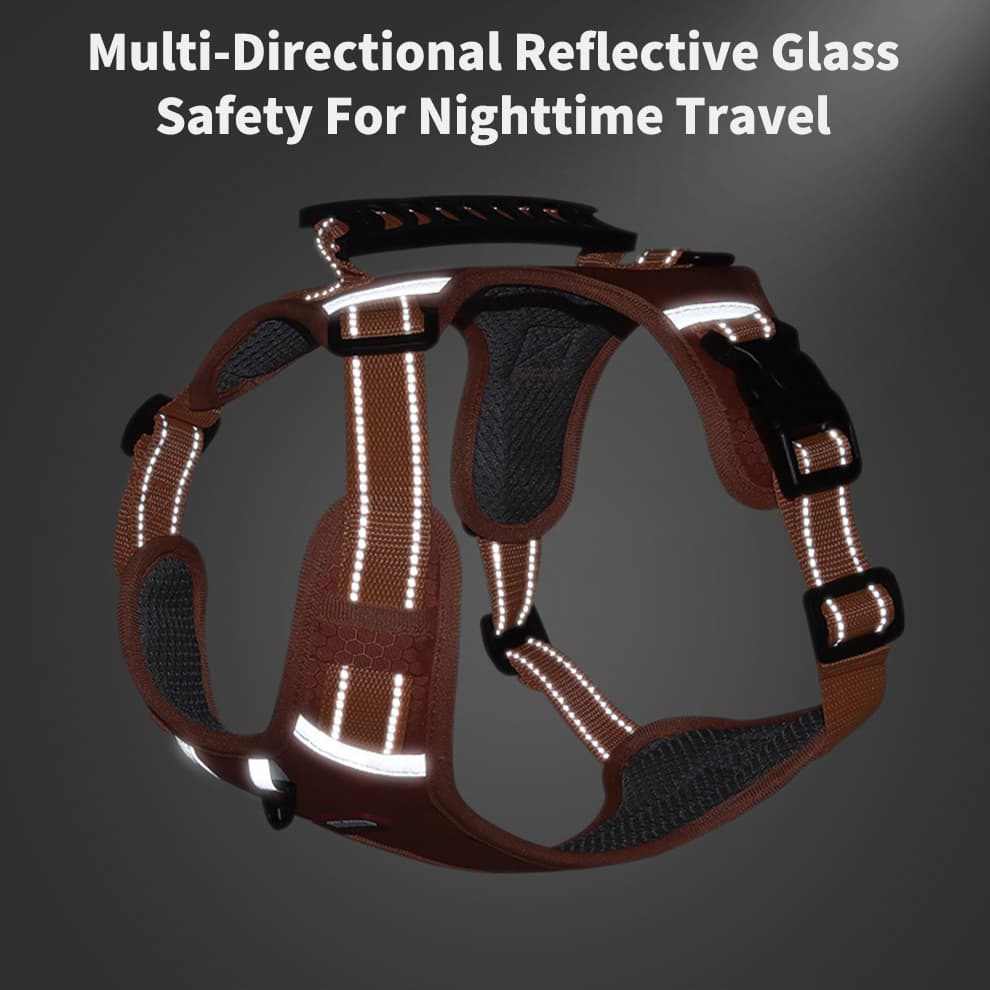 Reflective dog harness straps and LED light for night visibility and safer evening walks