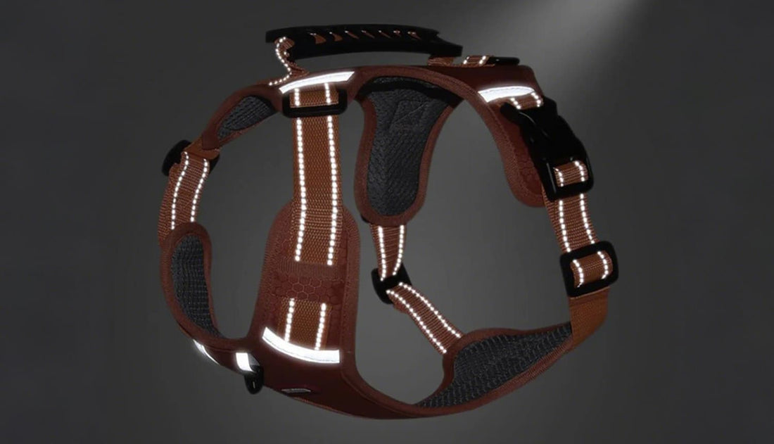 Product features of best no pull dog harness with reflective strips and breathable mesh