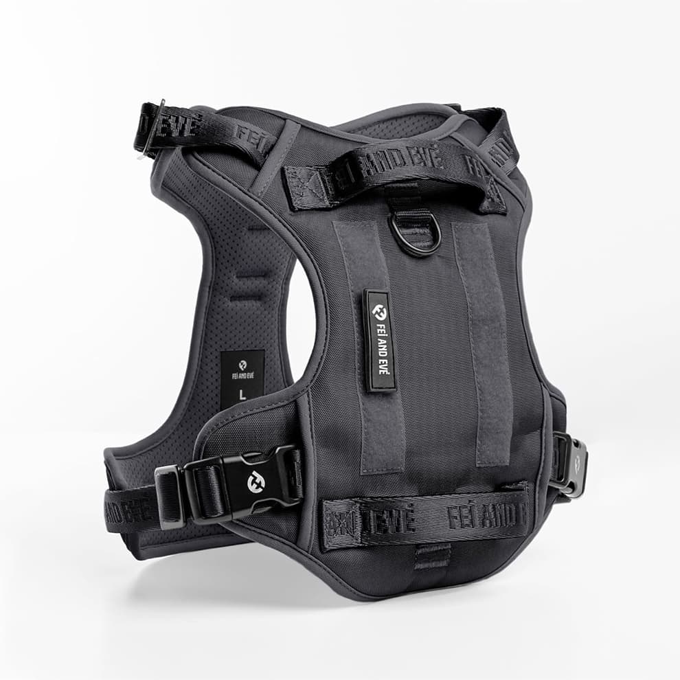 Dog harness buckle system with quick-release clips and secure hold