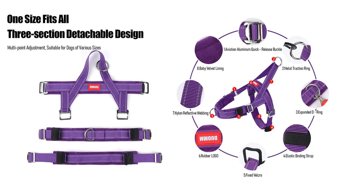 Detailed product features of reflective adjustable dog harness