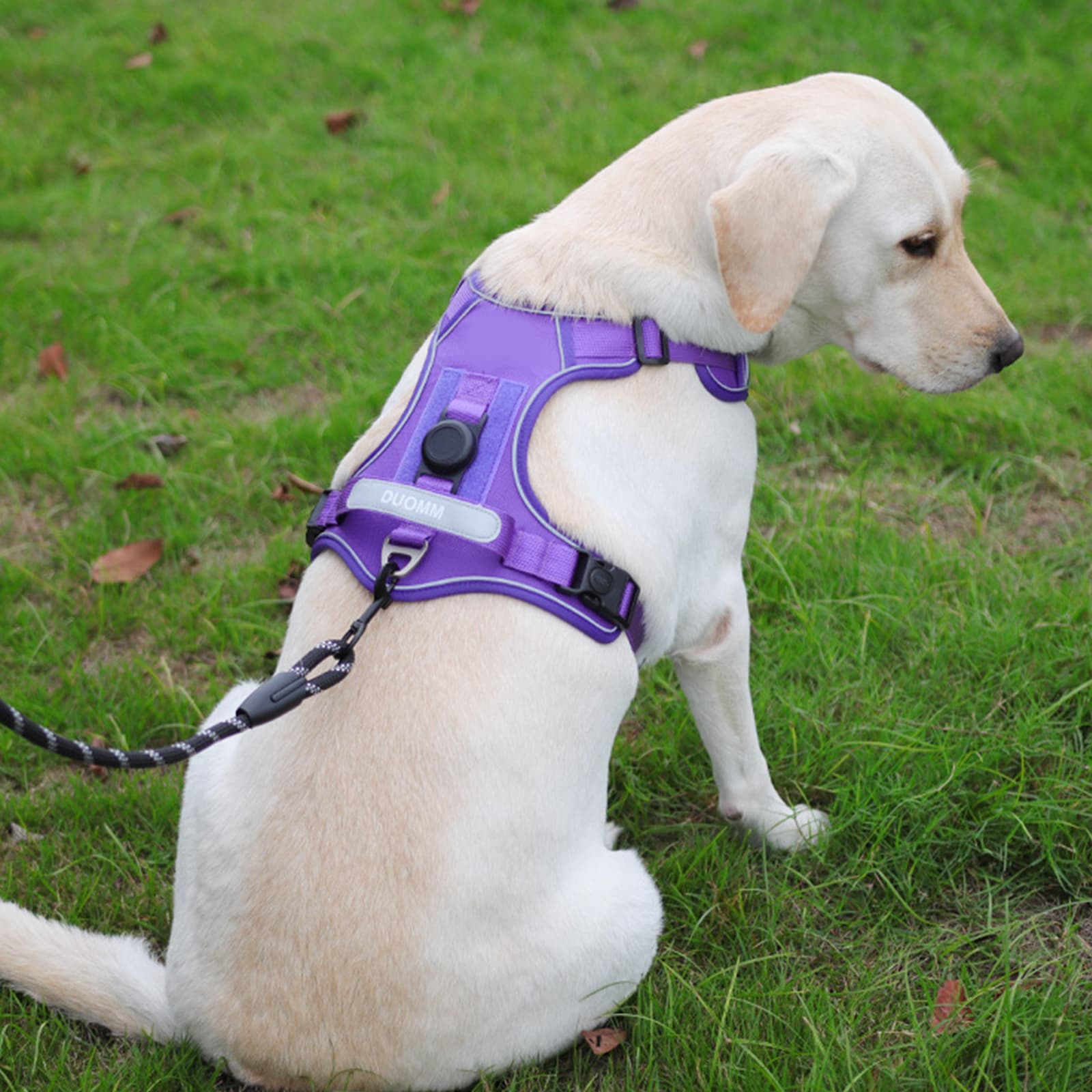 Dog harness with airtag holder in pink color fitted on dog outdoors for safe walking