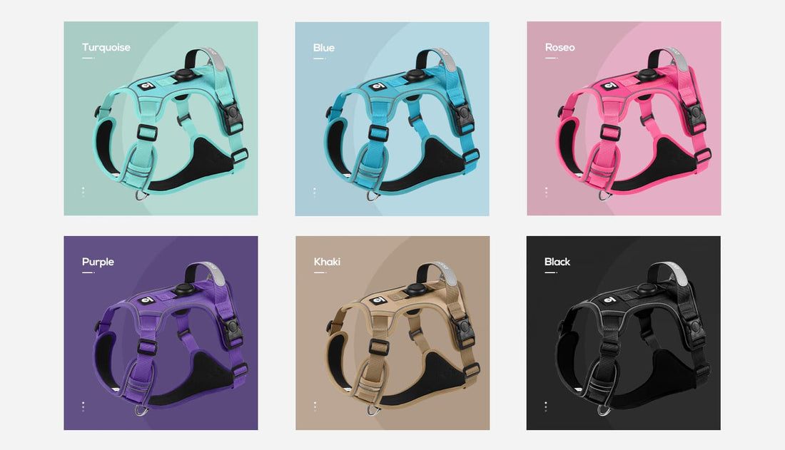 Dog harness with airtag holder showing features like escape proof fit reflective straps and adjustable design