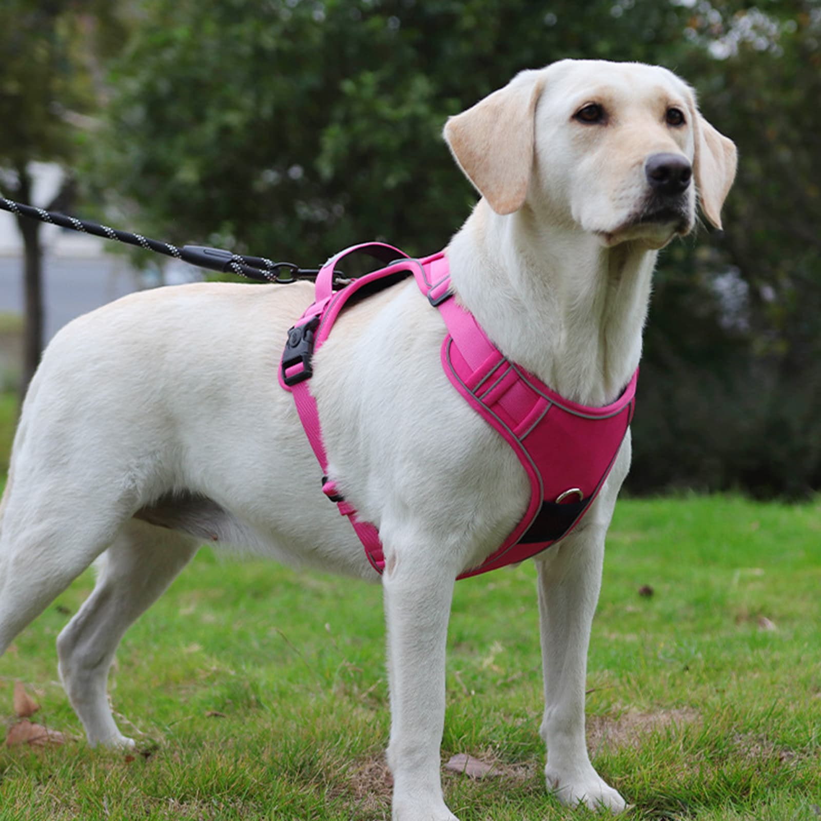 Dog harness with airtag holder reflective design ensures safety for dogs during night walks