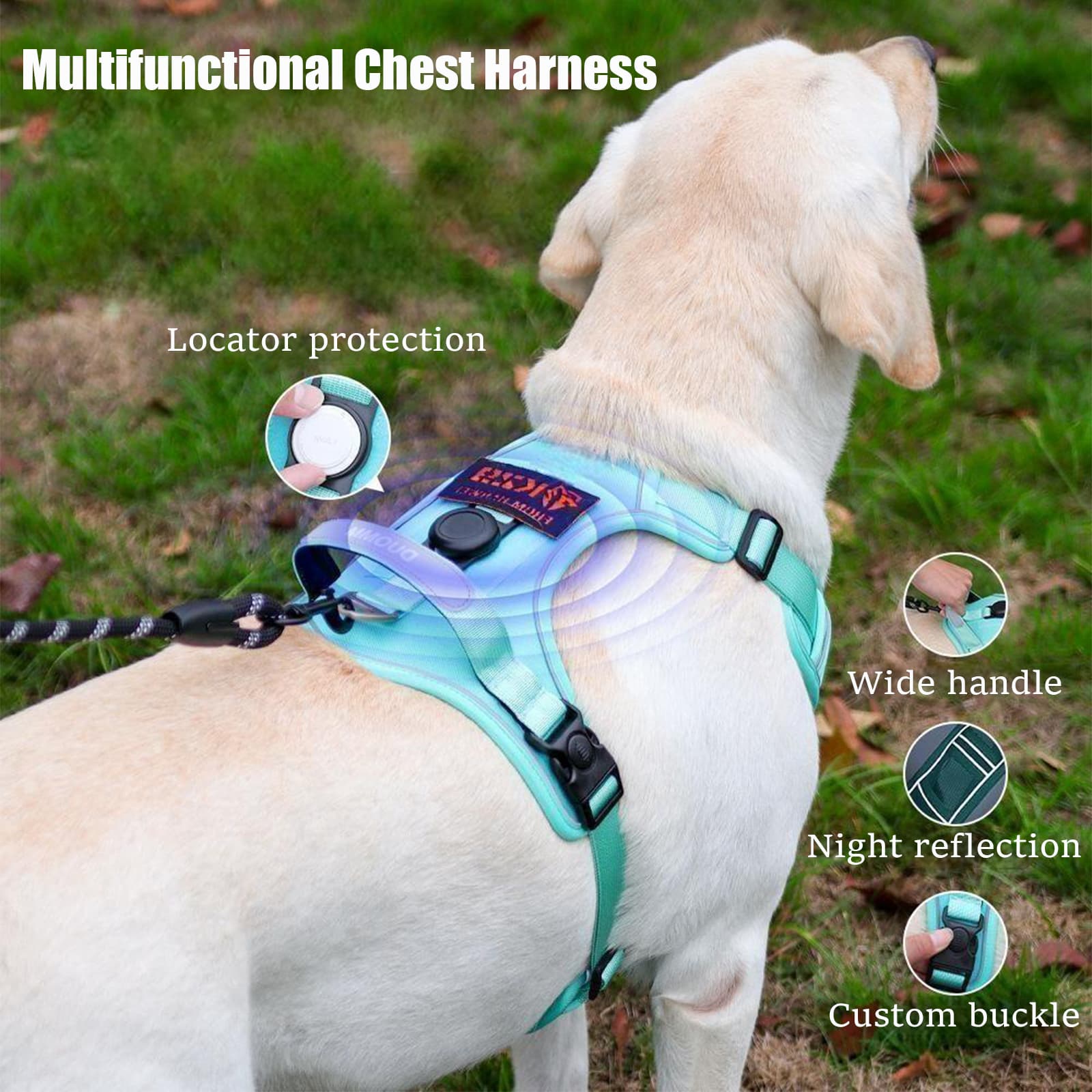 Dog harness with airtag holder paired with strong matching leash for outdoor walks