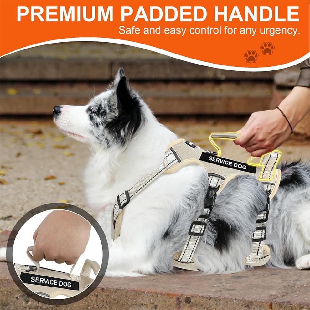 Dog harness with handle for better training and control
