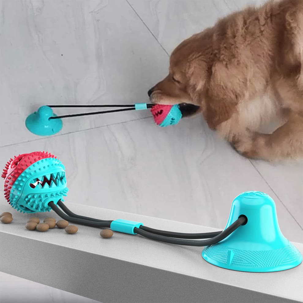 Dog suction cup toy for golden retriever puppy with treat ball play