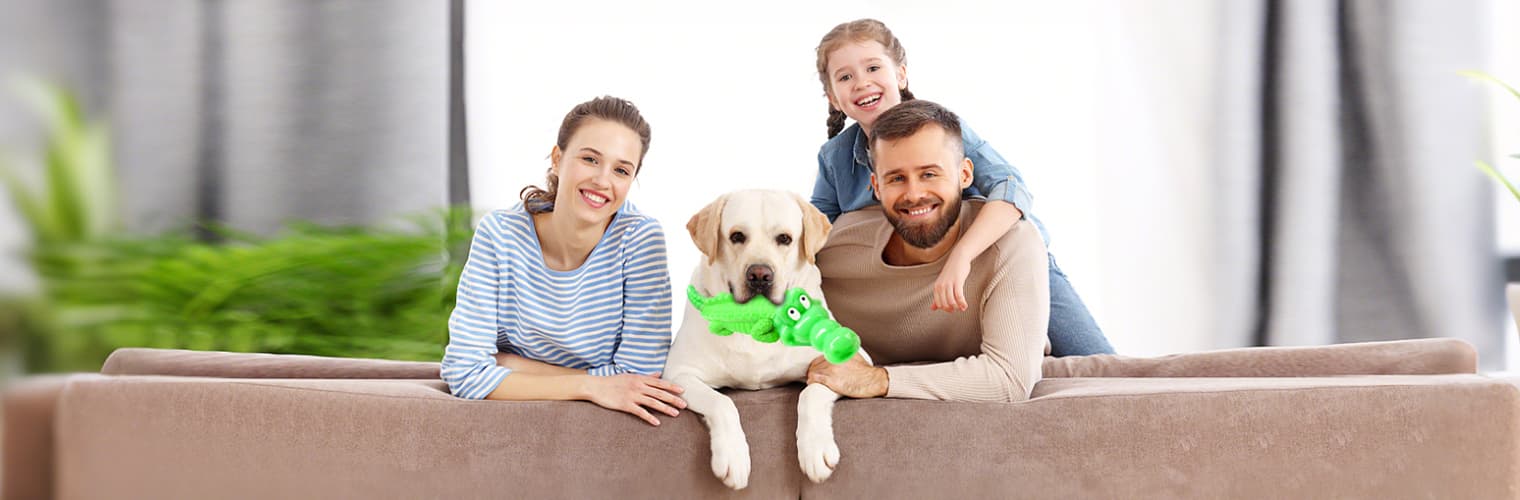 Dog happily chewing crocodile toy after using for dental cleaning
