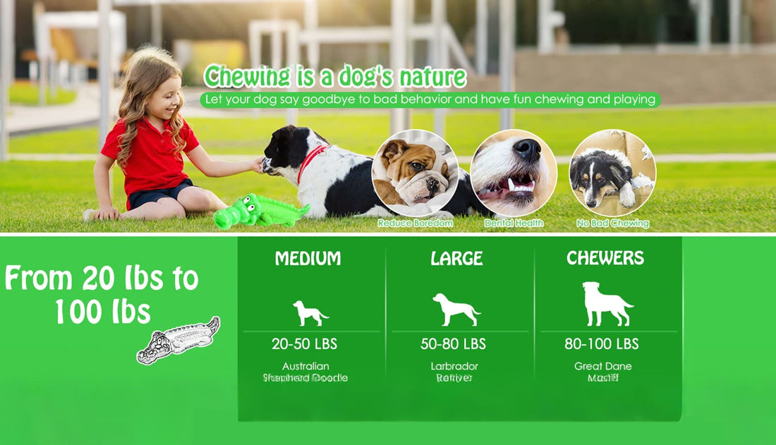 Dog toys for aggressive chewers with features for dental care and durability