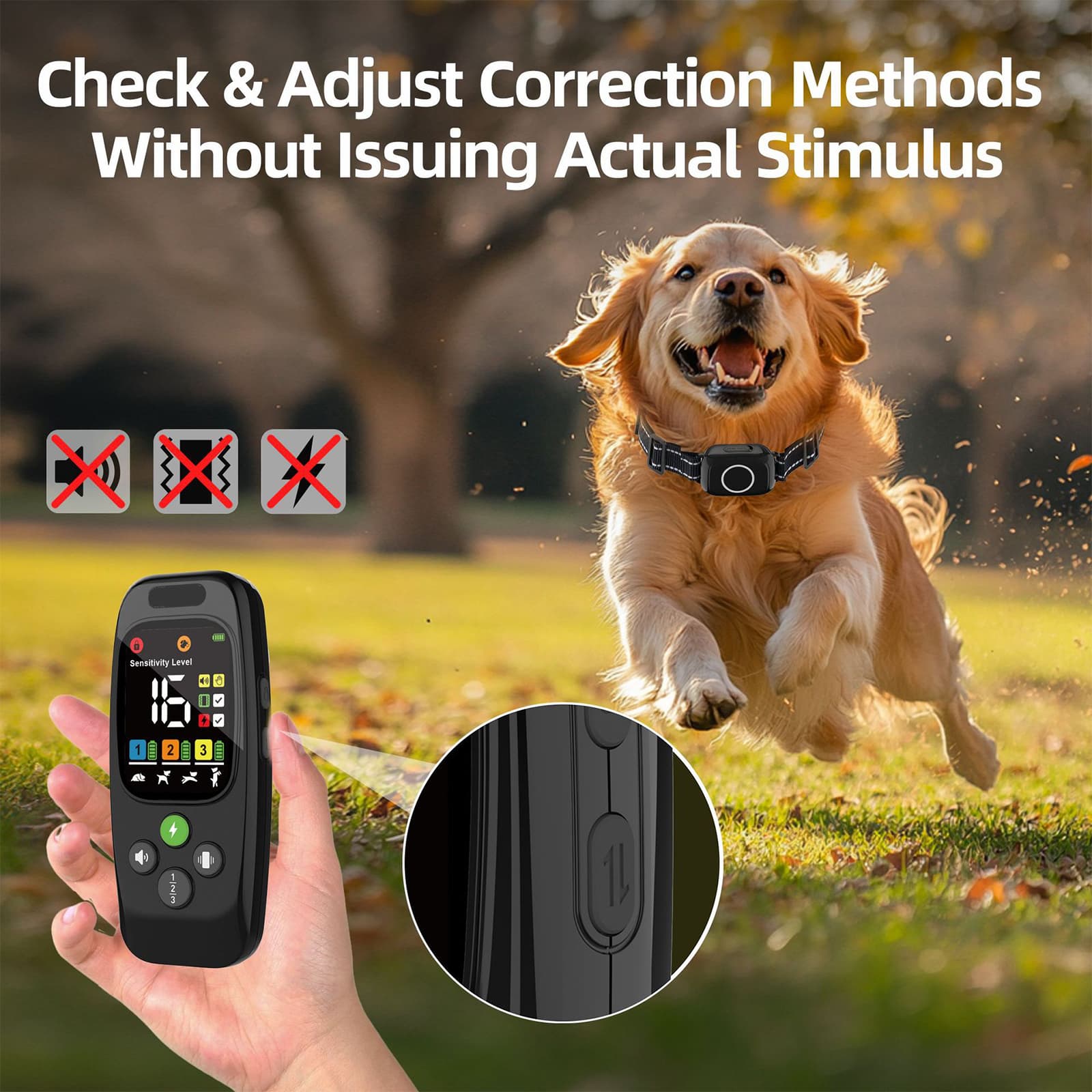 Remote adjusting training modes while dog runs freely in the yard