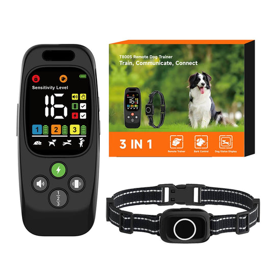 Complete dog training collar kit with remote, receiver collar, and packaging box