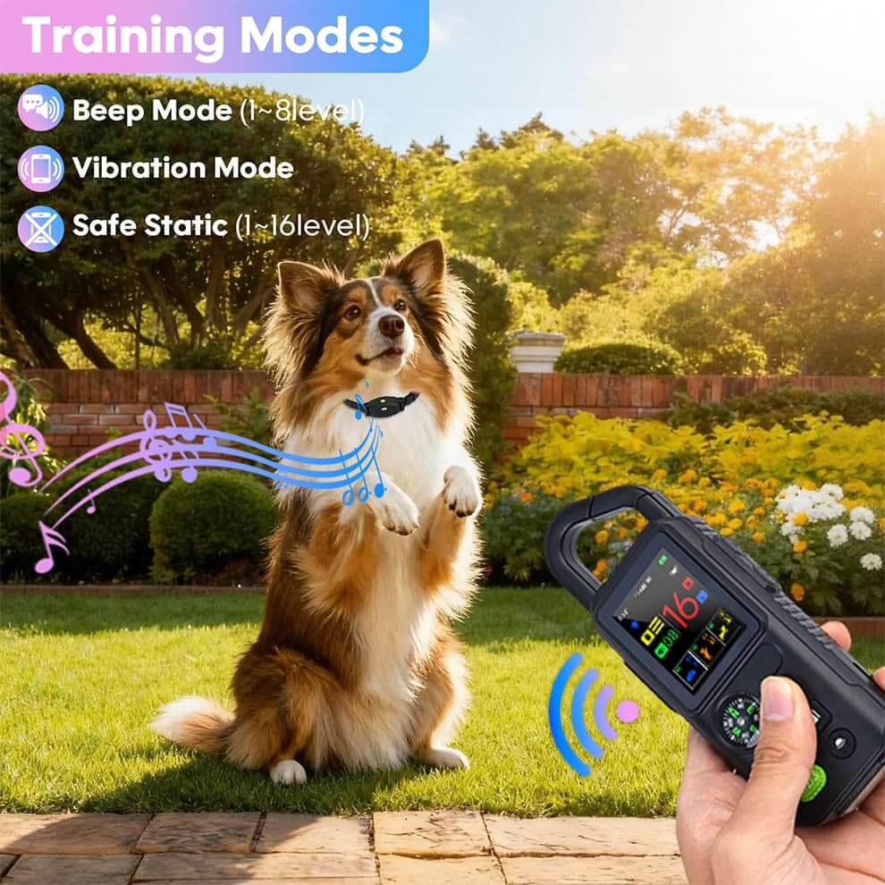 3 Safe Training Modes: Adjustable Beep, Vibration, and Static Levels for Behavior Correction.
