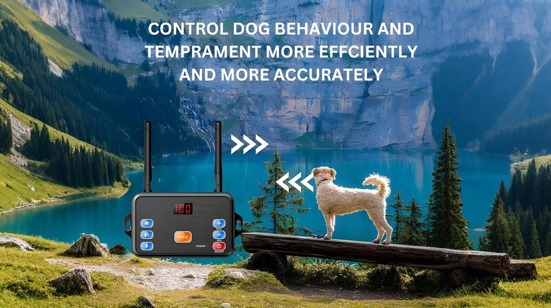 Dog standing near a lake wearing a training collar with wireless fence control unit for safe behavior correction