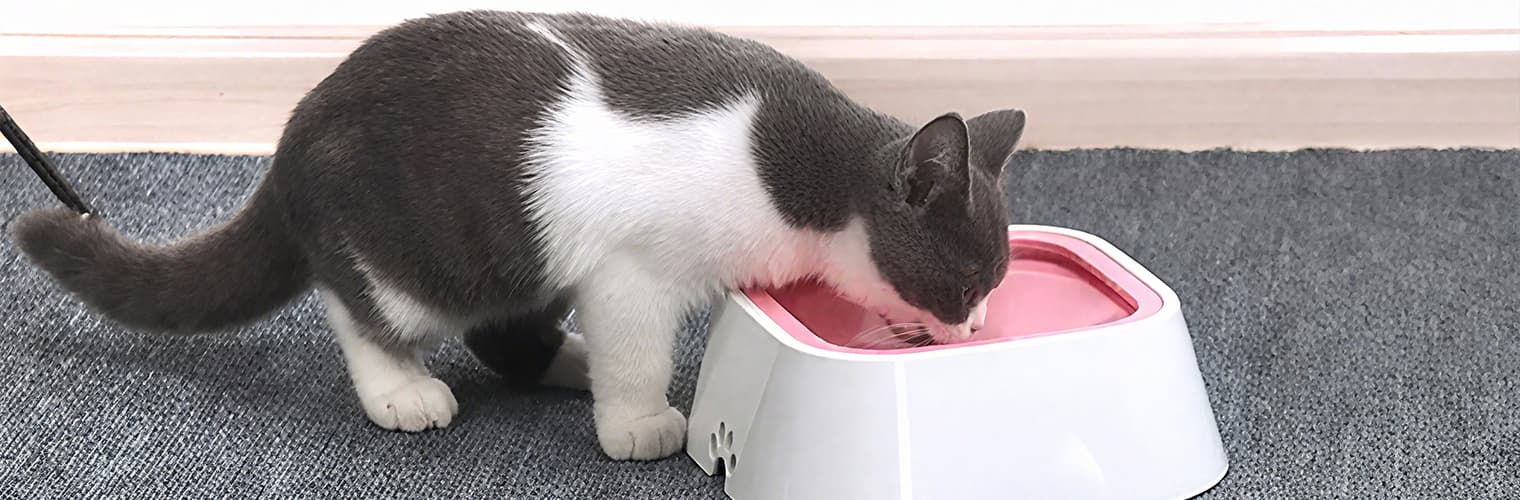 No spill dog bowl preventing splashes, dog water bowl keeping floor clean and dry