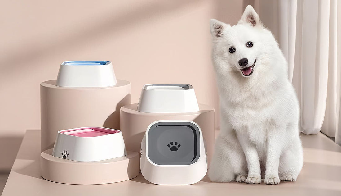 Dog water bowl with floating plate design, no spill dog water bowl for safe hydration