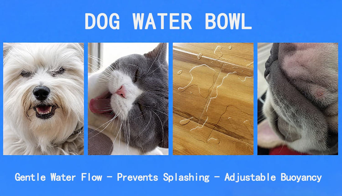 Travel dog bowl with no spill function, durable dog water bowl for pets
