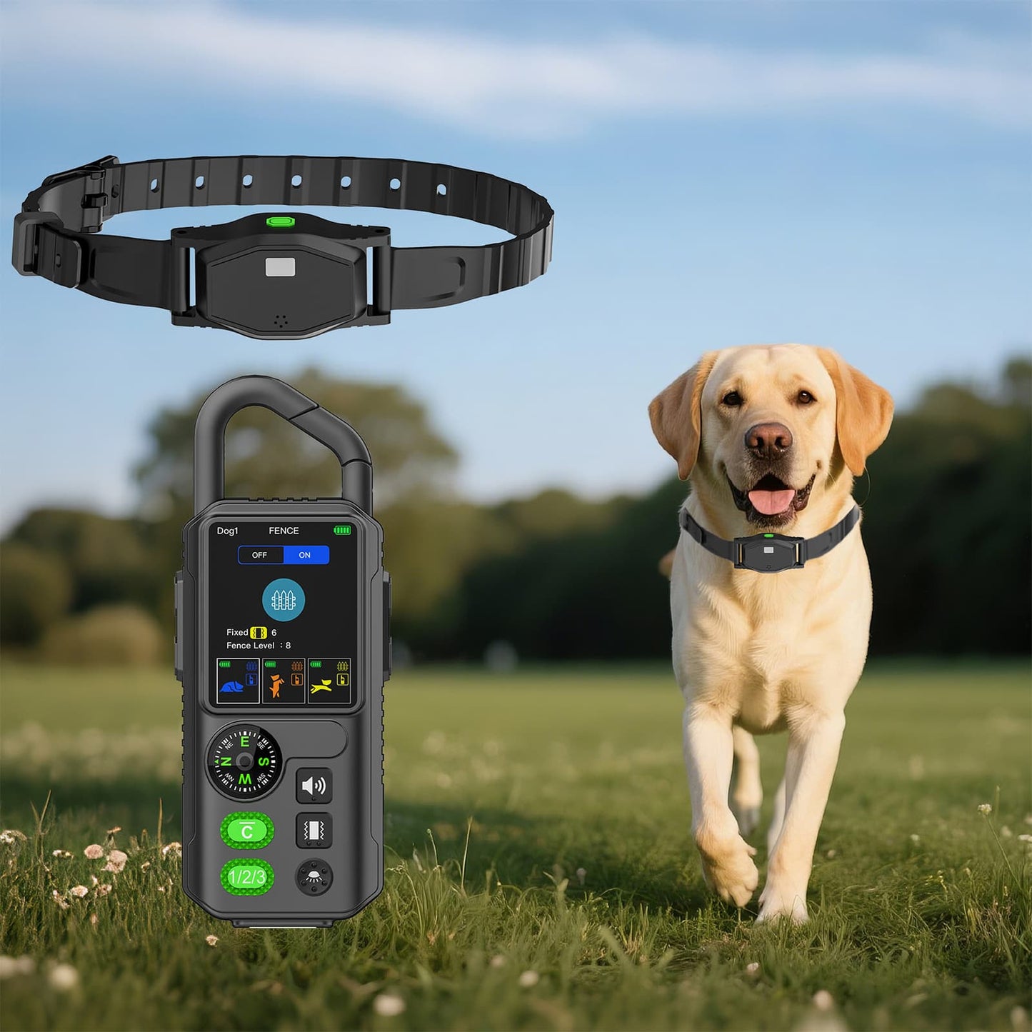 Labrador retriever wearing training collar outdoors with wireless fence remote